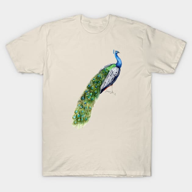 Green Peacock T-Shirt by Goosi